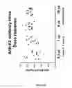 Fig. 16 - RECOMBINANT PROTEINS AND VIRUS LIKE PARTICLES COMPRISING L AND S POLYPEPTIDES OF AVIAN HEPADNAVIRIDAE AND METHODS, NUCLEIC ACID CONSTRUCTS, VECTORS AND HOST CELLS FOR PRODUCING SAME
