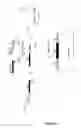 Fig. 21 - RECOMBINANT PROTEINS AND VIRUS LIKE PARTICLES COMPRISING L AND S POLYPEPTIDES OF AVIAN HEPADNAVIRIDAE AND METHODS, NUCLEIC ACID CONSTRUCTS, VECTORS AND HOST CELLS FOR PRODUCING SAME