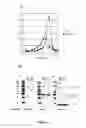 Fig. 23 - RECOMBINANT PROTEINS AND VIRUS LIKE PARTICLES COMPRISING L AND S POLYPEPTIDES OF AVIAN HEPADNAVIRIDAE AND METHODS, NUCLEIC ACID CONSTRUCTS, VECTORS AND HOST CELLS FOR PRODUCING SAME