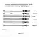 Fig. 50 - RECOMBINANT PROTEINS AND VIRUS LIKE PARTICLES COMPRISING L AND S POLYPEPTIDES OF AVIAN HEPADNAVIRIDAE AND METHODS, NUCLEIC ACID CONSTRUCTS, VECTORS AND HOST CELLS FOR PRODUCING SAME