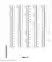 Fig. 81 - RECOMBINANT PROTEINS AND VIRUS LIKE PARTICLES COMPRISING L AND S POLYPEPTIDES OF AVIAN HEPADNAVIRIDAE AND METHODS, NUCLEIC ACID CONSTRUCTS, VECTORS AND HOST CELLS FOR PRODUCING SAME