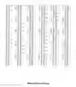 Fig. 97 - RECOMBINANT PROTEINS AND VIRUS LIKE PARTICLES COMPRISING L AND S POLYPEPTIDES OF AVIAN HEPADNAVIRIDAE AND METHODS, NUCLEIC ACID CONSTRUCTS, VECTORS AND HOST CELLS FOR PRODUCING SAME