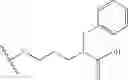 Fig. 166 - Case of renin inhibitors