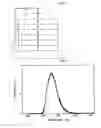 Fig. 02 - Phosphors with High Luminous Efficiency and Display Device Containing Them