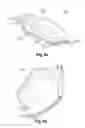 Fig. 09 - Collapsible reservoir for use with a delivery device