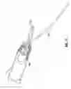 Fig. 54 - Method and apparatus for meniscal repair