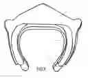 Fig. 06 - Wearable spinal protective apparatus