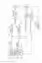 Fig. 07 - Image forming apparatus