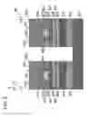 Fig. 06 - Semiconductor laser and manufacturing process thereof