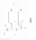 Fig. 06 - Folding sequential adaptive equalizer