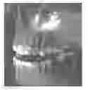 Fig. 01 - Image registration