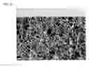 Fig. 04 - OPTICAL SHEET AND METHOD FOR PRODUCING THE SAME