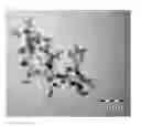 Fig. 01 - METHOD FOR SYNTHESIZING PHOSPHORESCENT OXIDE NANOPARTICLES