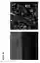 Fig. 11 - High Energy Composite Cathodes for Lithium Ion Batteries