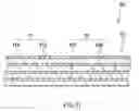 Fig. 12 - SECONDARY BATTERY AND ANODE