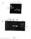 Fig. 02 - Methods ofr the detection of gene trannscripts in blood and uses thereof