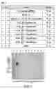 Fig. 02 - Cloning, expression and purification of recombinant porcine intrinsic factor for use in diagnostic assay