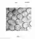 Fig. 06 - MICROFLUIDIC DROPLETS FOR METABOLIC ENGINEERING AND OTHER APPLICATIONS