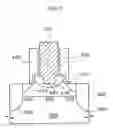 Fig. 07 - METHOD OF MANUFACTURING SEMICONDUCTOR DEVICE HAVING STEP GATES