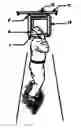 Fig. 01 - Head Suspension Device Vertebral Decompression Method with a Teeth Guard