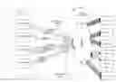 Fig. 01 - Systems and methods for distributed conferencing
