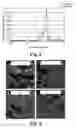 Fig. 08 - Coated Particulate Filter And Method