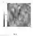 Fig. 09 - III-Nitride Semiconductor Light Emitting Device