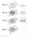 Fig. 02 - Imaging Device Manufacturing Method, Imaging Device and Portable Terminal