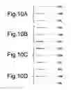 Fig. 09 - Display device, it's driving circuit, and driving method