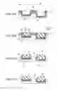 Fig. 12 - Solid-state imaging device, method for manufacturing solid-state imaging device, and imaging apparatus