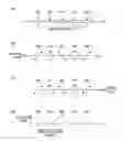 Fig. 01 - Method for measuring polarization characteristics of optical fiber, drawing method, method for identifying abnormal point, and method for configuring optical fiber transmission line