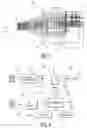 Fig. 04 - Flat field eyepiece