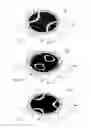 Fig. 06 - PROJECTION OBJECTIVE FOR A MICROLITHOGRAPHY APPARATUS AND METHOD
