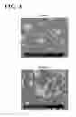 Fig. 02 - Aluminum nitride sintered product, method for producing the same, and electrostatic chuck including the same