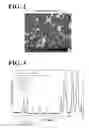 Fig. 03 - Aluminum nitride sintered product, method for producing the same, and electrostatic chuck including the same