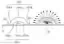 Fig. 01 - LED LAMP