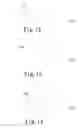 Fig. 06 - LIGHT GUIDE PLATE STRUCTURE