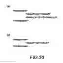 Fig. 30 - Electronic apparatus, content reproducing method, and content decoding method