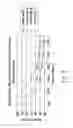 Fig. 09 - Optical transmission systems, devices, and methods