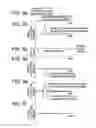 Fig. 06 - IMAGE FORMING APPARATUS