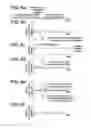 Fig. 07 - IMAGE FORMING APPARATUS