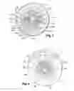 Fig. 04 - Wringing-out member and device comprising such a member