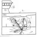 Fig. 01 - Method and Device for Handling of Fish