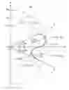 Fig. 01 - Oil pump rotor