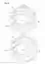 Fig. 11 - Oil pump rotor