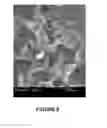 Fig. 06 - FUNCTIONALIZATION OF A SUBSTRATE SYSTEM AND METHOD