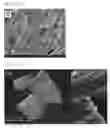 Fig. 02 - Spectral sensor for surface-enhanced raman scattering