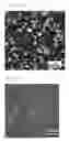 Fig. 03 - Spectral sensor for surface-enhanced raman scattering