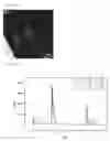 Fig. 05 - Spectral sensor for surface-enhanced raman scattering