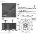 Fig. 11 - Spectral sensor for surface-enhanced raman scattering